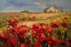 Poppy-field.-2019.-oil-on-canvas-40x50-cm